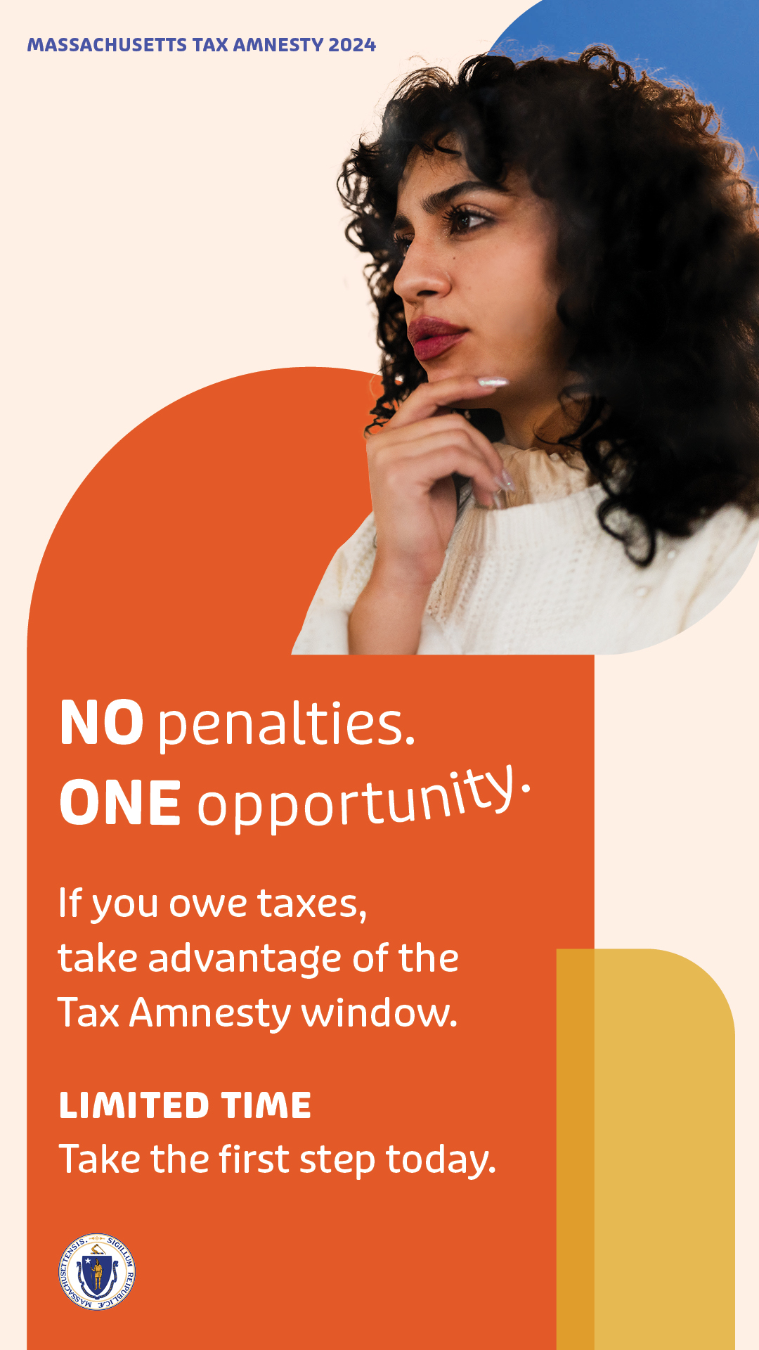 Vertical static image Tax Amnesty Campaign